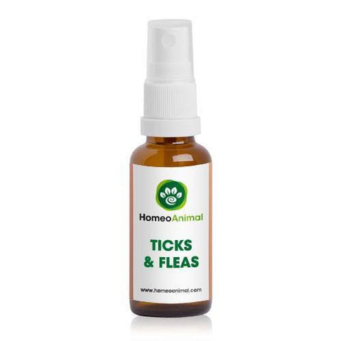 natural flea and tick repellent